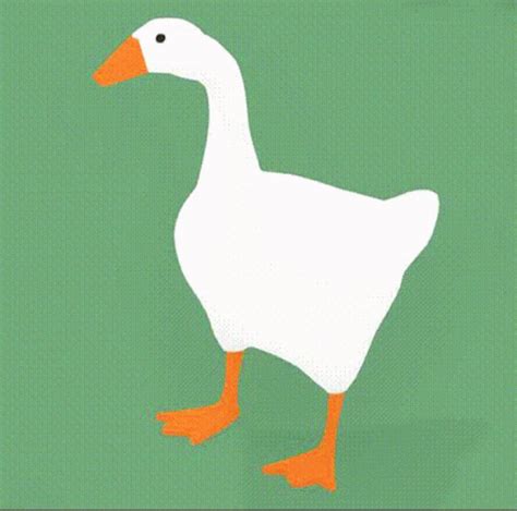 Goose Honking Goose GIF - Goose Honking Goose Me Irl - Discover & Share ...