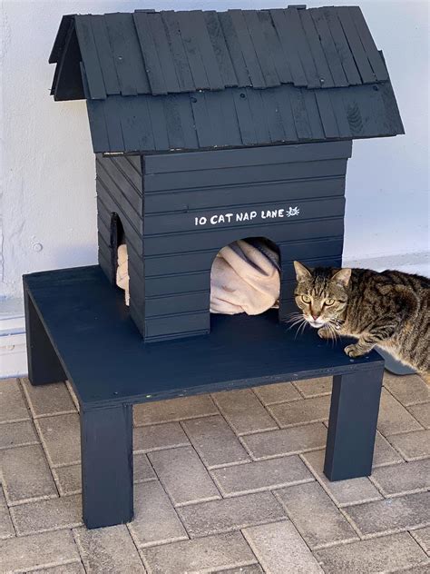 How To Build An Outdoor Cat House Shelter - DIY | Outdoor cat house