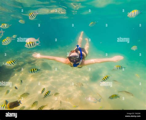 Sous Marine Bikini Girl Plongeur Tuba Banque De Photographies Et Dimages Haute R Solution Alamy