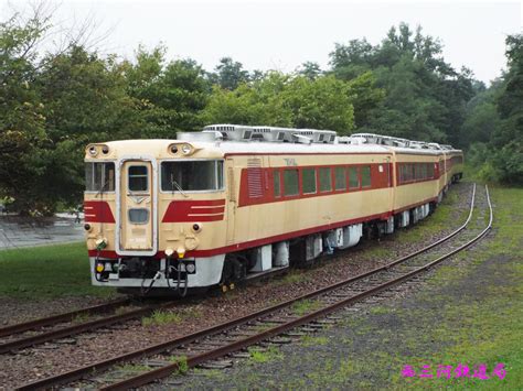 dsjm