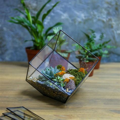 Флорариум с суккулентами "Куб"
