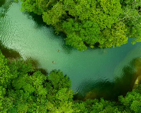 Natural wonders of Valle del Cauca and the Coffee Region.