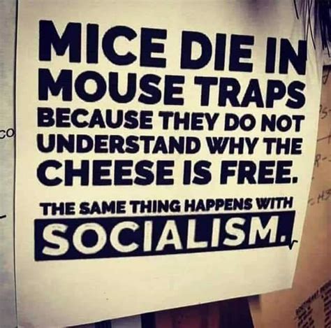 Socialism fails every time - Page 6 - Politics, Polls, and Pundits ...