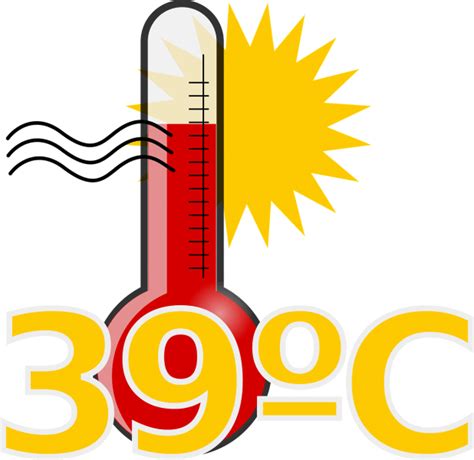 Cómo evitar un golpe de calor Global PRL