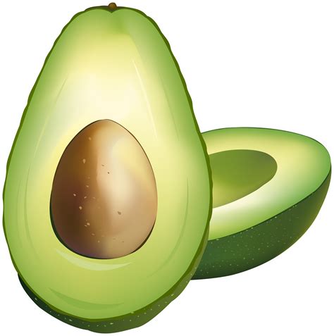 Avocado Clipart Avocado Fruit Avocado Avocado Fruit Transparent Free