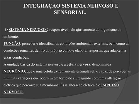 Sistema Sensorial Completo Ppt