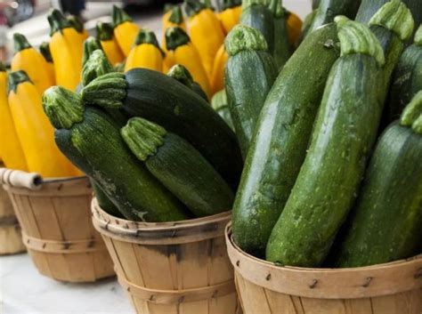 Как сохранить кабачки до весны: подходящие сорта и правила зимнего хранения