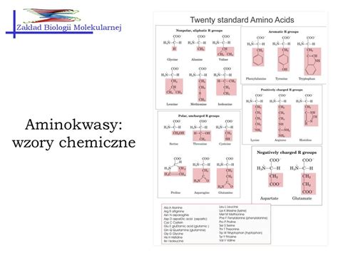 Biologia Molekularna Białka ppt pobierz