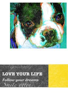 boston terrier quote dog quotes love love  life boston terrier dreaming   dogs