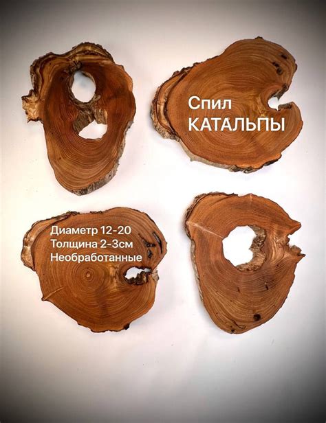 Спилы дерева Катальпа - купить с доставкой по выгодным ценам в интернет ...