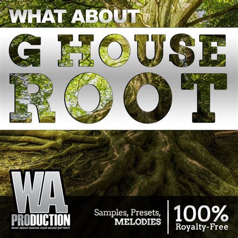 Wa Production G House Root Midi Wav Serum Sylenth Vst Crack