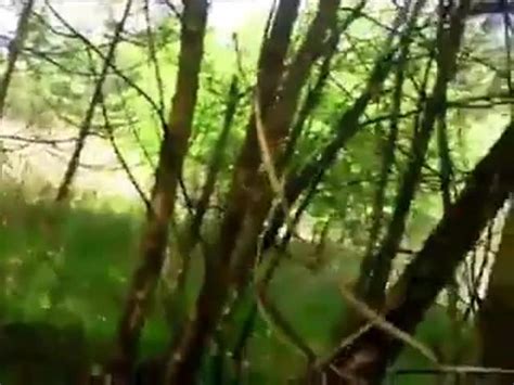 Sex Extreme Bumped And Fucked Boyfriendtv