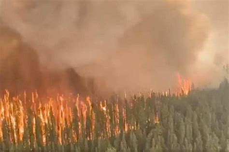 Fires Intensify In Canada Could Last ‘all Summer The Straits Times