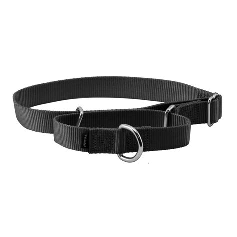 Martingale Collar With Quick Snap Buckle Petsafe®