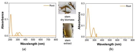 Forests Free Full Text Potential Application Of Invasive Plant Species Datura Innoxia For