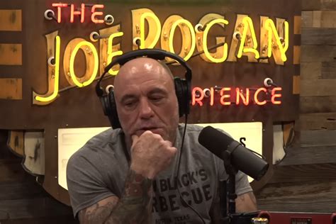 Joe Rogan Podcast Interrupted by Adorable Intruder - Newsweek