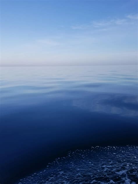 Discover more like Seaporn: Gulf of Mexico, 10 miles offshore from