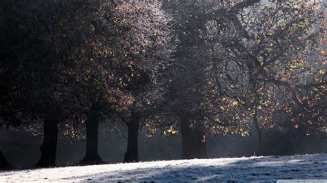 late winter desktop wallpaper  images