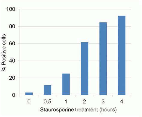 Nucview Caspase Enzyme Substrates Biotium