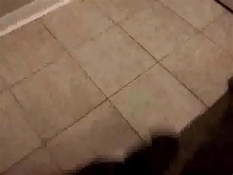 Bbw Interracial In Houston XVIDEOS