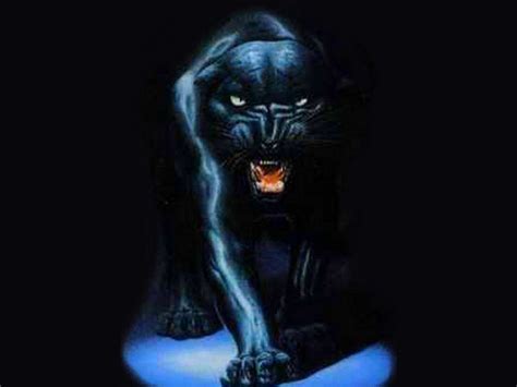 Black Jaguar Wallpapers - Top Free Black Jaguar Backgrounds ...