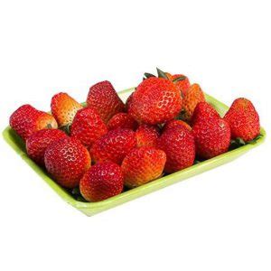 Morango Do Tá Chovendo Hambúrguer - Tipos e Variedades de Morango no Brasil e no Mundo | Mundo Ecologia