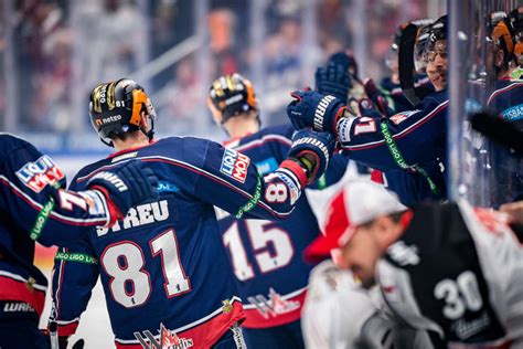 Eisbären Berlin ziehen ins Halbfinale ein Straubing Tigers und