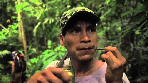 Fuck For Forest YouTube