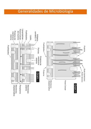 Clase 1 generalidades de microbiología PPT