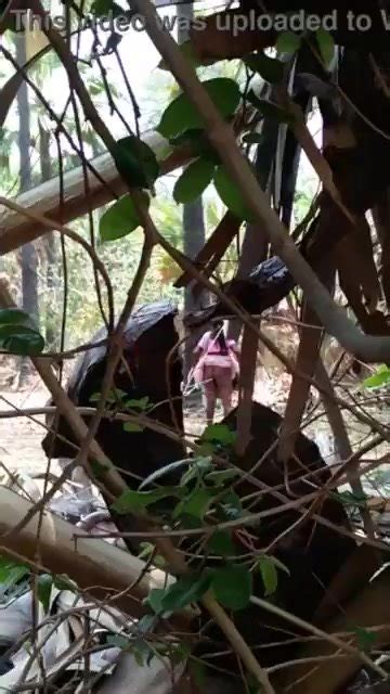 Like It Desi Aunty Washing Ass Thisvid