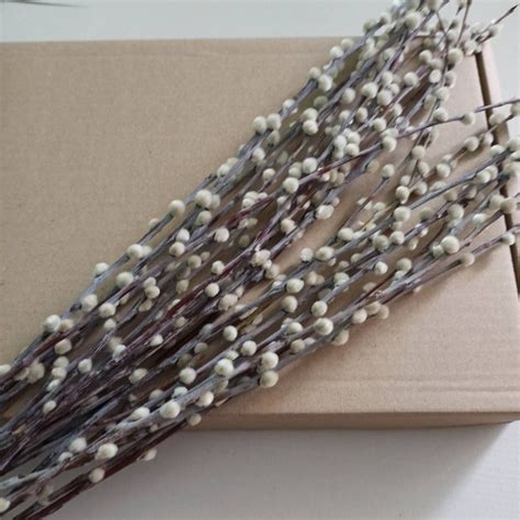 Pcs Dry Pussy Willow Stemsletter Box Dried Flowers Easter Etsy