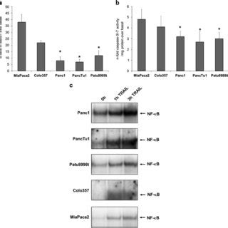 Trail Sensitivity Correlates With Nf B Activity In Pdac Cell Lines A