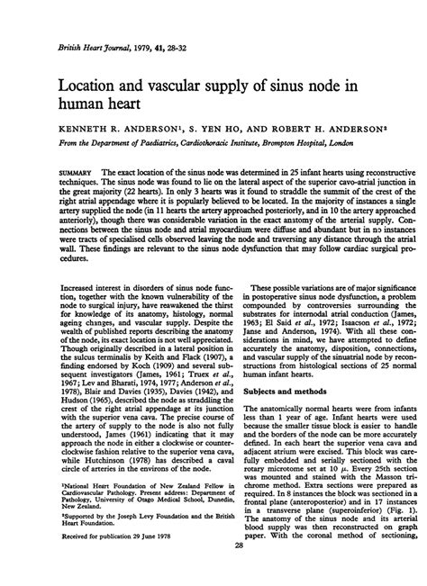 location  vascular supply  sinus node  human heart pmc