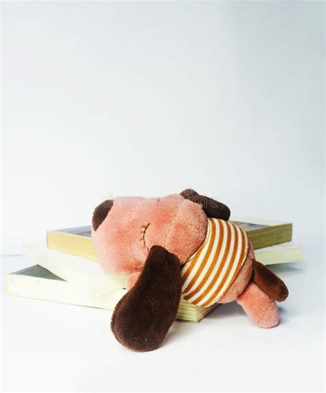 Doll Bear And Pink Dog Cute On Withe Background Stock Image Image Of
