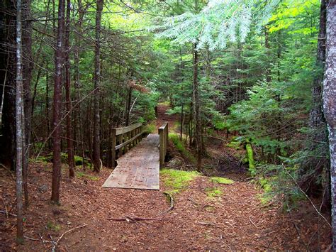 hiking  trails   herring cove provincial park   flickr