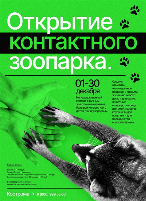 Плакаты on Behance