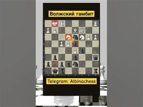 Волжский гамбит #шахматы #chess #chorts - YouTube