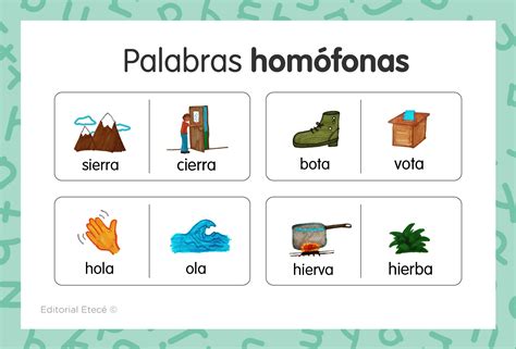O Que Sao Homonimos