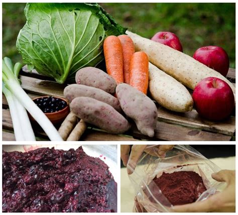 В Японии создали съедобные карандаши – Рубрика