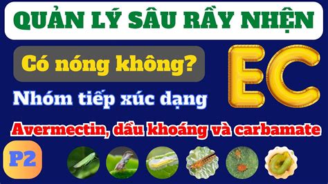 Phần 2 Thuốc dạng EC của Avermectin Dầu khoáng và Carbamate có gây