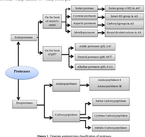 Figure 1 From Bacterial Protease Enzyme Safe And Good Alternative For