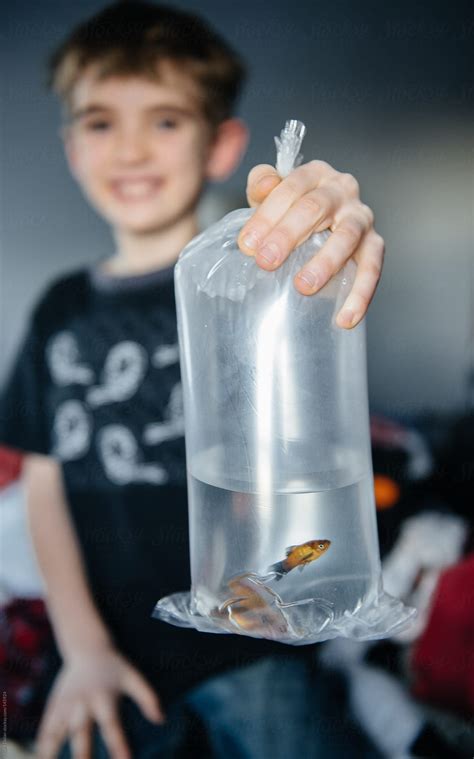 "Happy Boy Shows Off New Fish He Just Got At The Pet Store" by Stocksy