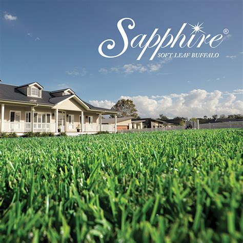 turf sapphire buffalo rsgl
