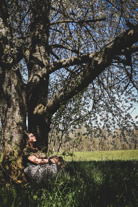 The Art Of Forest Bathing