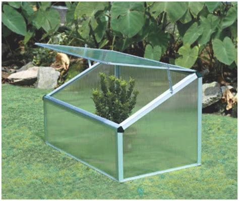 Парники для перцев (46 фото) - фото - картинки и рисунки: скачать бесплатно