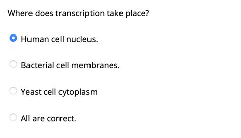 Solved Where Does Transcription Take Place O Human Cell