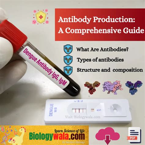 [pdf] Understanding Antibody Production A Comprehensive Guide By Sachin S