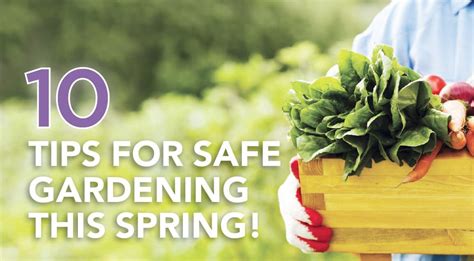 10 Tips for Safe Gardening This Spring - Sheltering Arms®