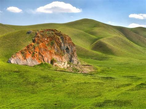 Природа Оренбургской области