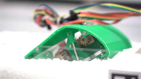 This Mole Crab Inspired Robot Can Self Burrow Vertically